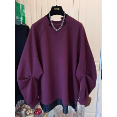 批发独特超好看小众廓形花边假两件卫衣<b class='q'>外套</b><b class='q'>宽松</b>上衣女装2026春装新款