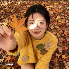 批发立体花朵重工<b class='q'>针织衫</b><b class='q'>女士</b>2025秋冬新款圆领毛衣外套上衣内搭打底衫