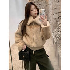 批发秋冬百搭休闲<b class='q'>短款</b>立领保暖羊羔毛环保皮草外套女新款加厚毛毛上衣