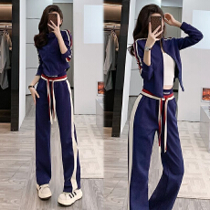 批发高级感春季时尚休闲<b class='q'>运动</b>套装女网红炸街洋气减龄<b class='q'>气质</b>女神范两件套