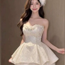 批发公主白色蕾丝<b class='q'>礼服</b>吊带生日短<b class='q'>裙</b>连衣<b class='q'>裙</b>重工抹胸蓬蓬<b class='q'>裙</b>白色内发货