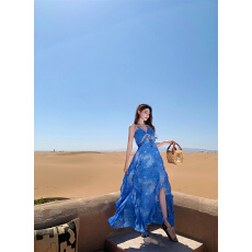 批发法式优雅V领挂脖<b class='q'>连衣裙</b>女高级感<b class='q'>流苏</b>高腰气质袖套碎花荷