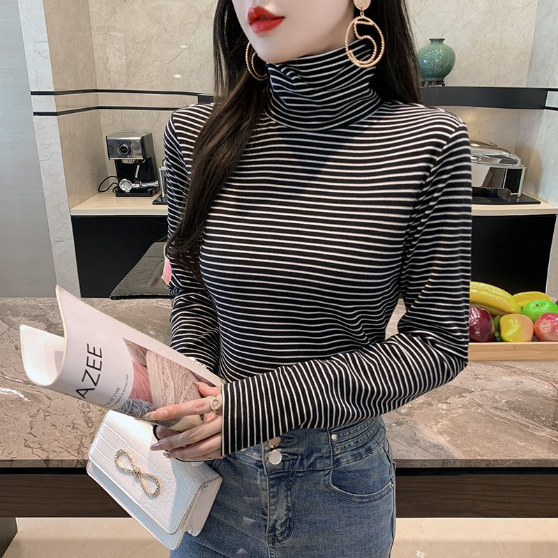 옵션 이미지