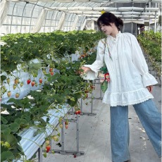 批发高级感气质蕾丝拼接<b class='q'>灯笼</b>袖连衣<b class='q'>裙</b>女2026秋夏法式气质宽松显瘦短<b class='q'>裙</b>