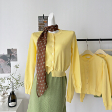 批发实拍气质一整套穿搭减龄新款针织开衫半身裙两件套装裙独特超好看