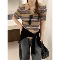 批发欧货条纹Polo领短袖<b class='q'>针织衫</b>女2026新款修身显瘦高级感t恤上衣<b class='q'>薄款</b>
