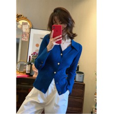 批发秋冬女装针织开衫翻领高级设计感小众<b class='q'>修身</b>时尚毛衣外套上衣