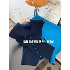 批发2026夏季新款韩版时尚百搭翻领领短袖<b class='q'>针织衫</b>女士显瘦简约通勤上衣