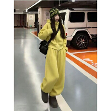 批发时尚套装<b class='q'>女</b>春秋季新款显瘦宽松纯色连帽卫衣外套休闲阔腿裤<b class='q'>两件</b>套