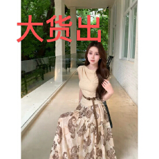 批发塞纳河畔法式优雅轻奢收腰短袖上衣+经典佩<b class='q'>斯</b>利印花半身裙套装