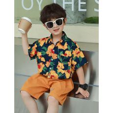 批发炸街复古港风设计感童装洋气休闲百搭儿童短袖上衣中大童碎花衬衫