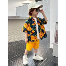批发儿童男童衬衫2025中小童宝宝新款短袖港风休闲百搭碎花衬衣<b class='q'>夏</b>装