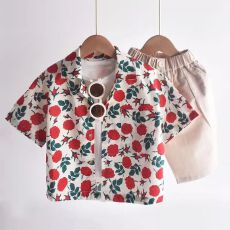 批发男童花衬衫短袖复古港风童装2025新款<b class='q'>夏</b>季衬衫痞帅小童海边潮儿童