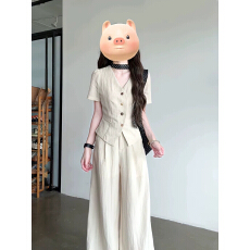 批发法式通勤风v领<b class='q'>套装</b>女夏季2026新款短袖衬衫直筒休闲裤显瘦两件套