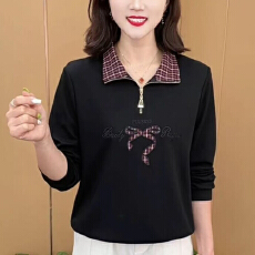 批发<b class='q'>秋</b>冬新款时尚polo领拉链长袖保暖衫减龄气质中老年遮肚立领上衣女
