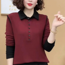 批发<b class='q'>秋</b>冬新款时尚polo领纽扣长袖保暖衫减龄气质中老年遮肚立领上衣女
