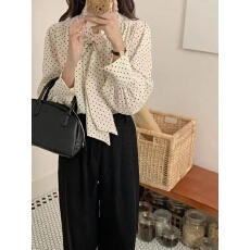 批发2026春新款韩国东大门代购女装whiteday<b class='q'>波点</b>百搭显瘦长袖<b class='q'>衬衫</b>