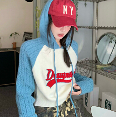 批发美式复古字母刺绣长袖连帽针织<b class='q'>卫衣</b>女装秋季宽松<b class='q'>短款</b>上衣