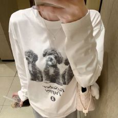 批发260克纯棉 春秋新款<b class='q'>长袖</b>圆领<b class='q'>T</b><b class='q'>恤</b> 印花 宽松休闲慵懒风 纯棉上衣