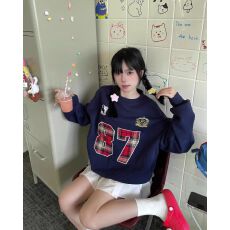 批发仿棉华棉 全消光不起球复合牛奶丝320克复合银狐绒400克圆领卫衣