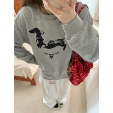 仿棉华棉 全消光不起球复合牛奶丝320克复合银狐绒400克圆领卫衣