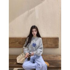 仿棉华棉 全消光不起球复合牛奶丝320克复合银狐绒400克圆领卫衣