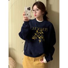 仿棉华棉 全消光不起球复合牛奶丝320克复合银狐绒400克圆领卫衣