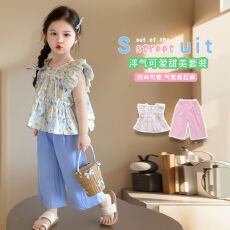 批发女童<b class='q'>夏</b>季<b class='q'>套装</b>2025新款女<b class='q'>宝宝</b>洋气甜美儿童碎花山本裤两件套