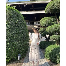 批发<b class='q'>不规则</b>波点浅色雪纺<b class='q'>半身裙</b>女2026新款独特漂亮高级裙子