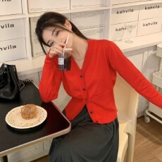 批发V领显瘦<b class='q'>薄款</b>长袖开衫外套女秋季小众韩系chic简约百搭<b class='q'>针织衫</b>上衣