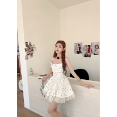 批发实拍法式纯欲风波点修身网纱蓬蓬公主群韩系精致感千金连衣裙