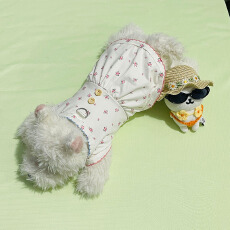 批发实拍】宠物春<b class='q'>夏</b>秋季甜美可爱碎花背心裙可牵引狗狗猫咪小型犬衣服