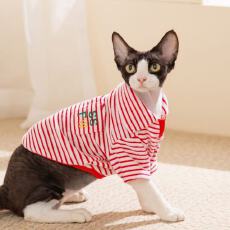 批发猫咪绒衣条纹秋冬舒适毛巾布高颜值翻领两脚衣宠物布偶金渐层衣服