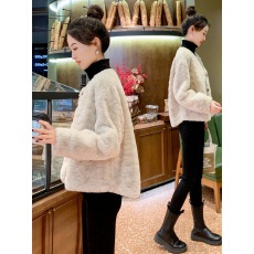 批发加厚加棉女2025<b class='q'>秋</b>冬新款小个子时尚百搭外套貂绒颗粒绒仿水貂皮草
