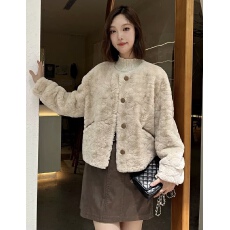 批发加厚加棉女2025<b class='q'>秋</b>冬新款小个子时尚百搭外套貂绒颗粒绒仿水貂皮草