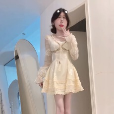 批发法式初恋短裙收腰显瘦辣妹纯欲设计感<b class='q'>绣花</b><b class='q'>连衣裙</b>女秋季长袖裙子女