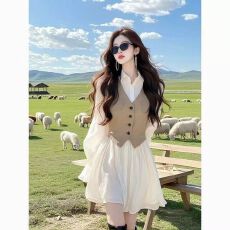 批发已出货 2025秋季气质<b class='q'>衬衫</b>法式新款拼接假两件掐腰显瘦连衣裙裙子