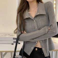 批发已出货 <b class='q'>衬衫</b>外套女早秋内搭短款v领修身上衣设计小众收腰长袖<b class='q'>衬衣</b>