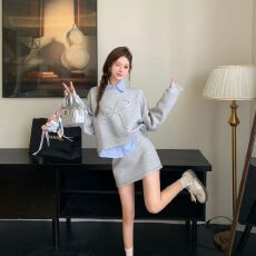 批发已出货 一整套装<b class='q'>连衣裙</b>子秋季2025秋冬新款女装高级感卫衣短裙