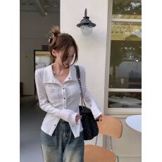 批发已出货 内搭打底衫女秋季设计感新款韩版翻领<b class='q'>衬衫</b>气质长袖上衣