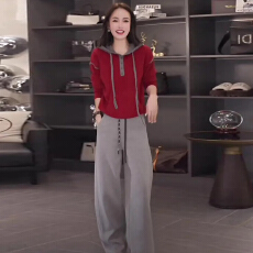 批发高级感时尚百搭套装女秋新款时髦显瘦连帽长袖卫衣阔腿长<b class='q'>裤</b>两件套