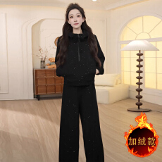 批发运动休闲时尚套装女秋冬新款高级感拉链开衫连帽卫衣直筒<b class='q'>裤</b>两件套