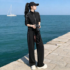 批发网红炸街休闲运动套装秋季新款女拉链开衫立领<b class='q'>卫衣</b>直筒长裤两件套