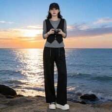 批发慵懒风通勤休闲运动套装女<b class='q'>秋</b>季新款洋气减龄长袖上衣阔腿裤两件套