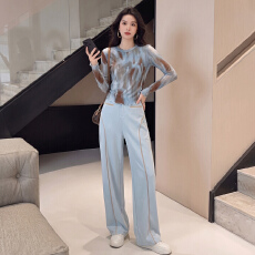批发女夏季新款韩版时尚套装圆领渐变轻薄网纱长袖阔腿休闲长裤两件套