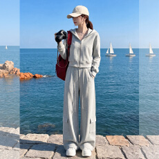 批发欧货时尚穿搭一整套<b class='q'>女</b>春秋慵懒风灰色连帽外套休闲阔腿<b class='q'>长裤</b>两件套