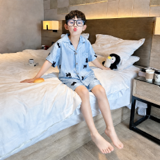批发黛琳芬12码-XL冰丝儿童睡衣夏天仿真丝<b class='q'>中大</b>童男<b class='q'>女</b><b class='q'>童</b>家居服261