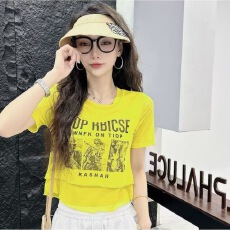 批发夏季新款潮流冰感网纱短袖上衣<b class='q'>广场</b><b class='q'>舞</b>曳步<b class='q'>舞</b>跳舞衣 服女时尚百搭