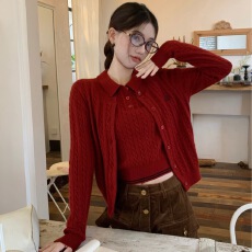 批发红色复古套装小众刺绣<b class='q'>毛衣</b><b class='q'>开衫</b>外套<b class='q'>女</b>装早秋内搭麻花针织衫两件套