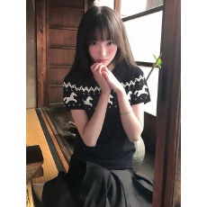 费尔岛针织亲肤修身短袖套头时尚毛衣百搭复古春夏内搭